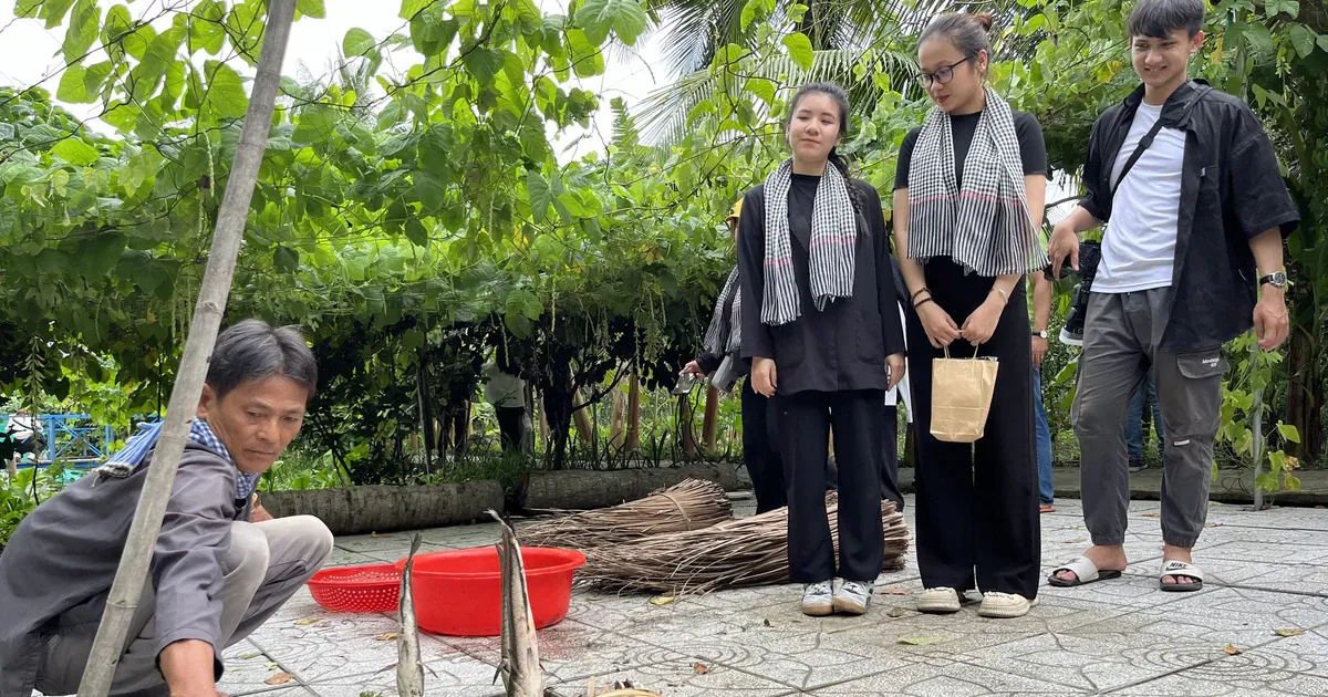 Chợ nổi Cái Răng: Trải nghiệm sáng sớm chỉ với vé 100.000 đồng
