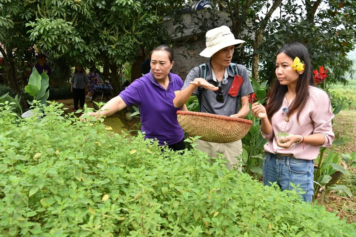 Chuyên gia Thái Lan gợi ý bứt phá cho du lịch nông nghiệp Việt Nam từ Ba Vì