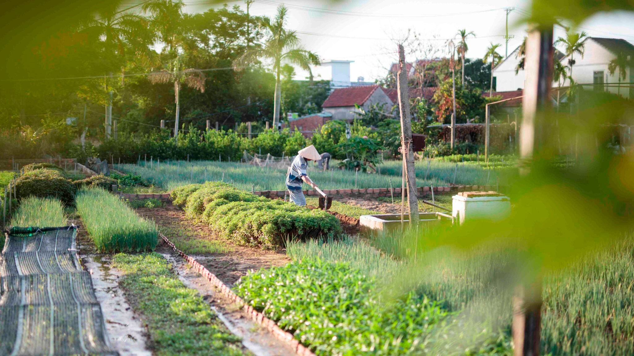 Làng chài Việt Nam: từ không gian mưu sinh đến điểm du lịch bền vững