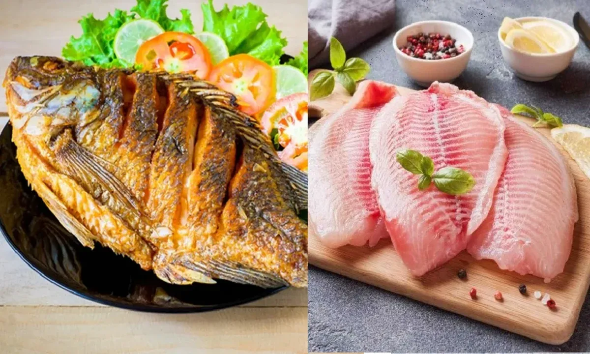 Cá gà nước Việt Nam: lựa chọn số 1 cho bữa cơm giàu protein