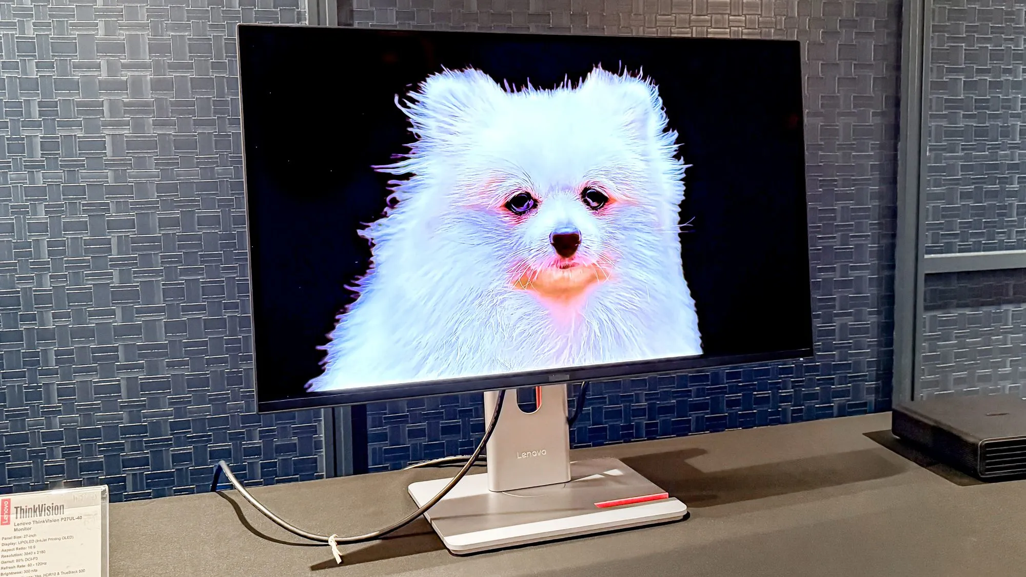 Màn hình OLED 4K cho laptop: có đáng để nâng cấp để làm việc cả ngày?