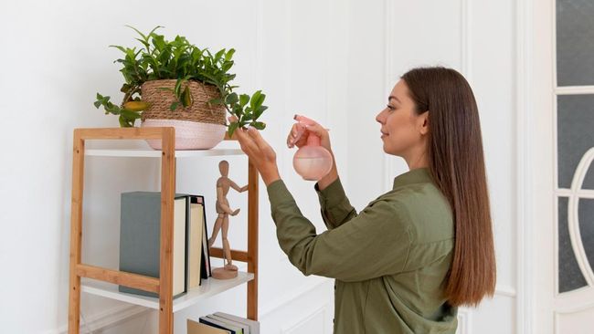 Những loại cây độc phổ biến trong nhà: cách nhận biết và bảo vệ gia đình an toàn