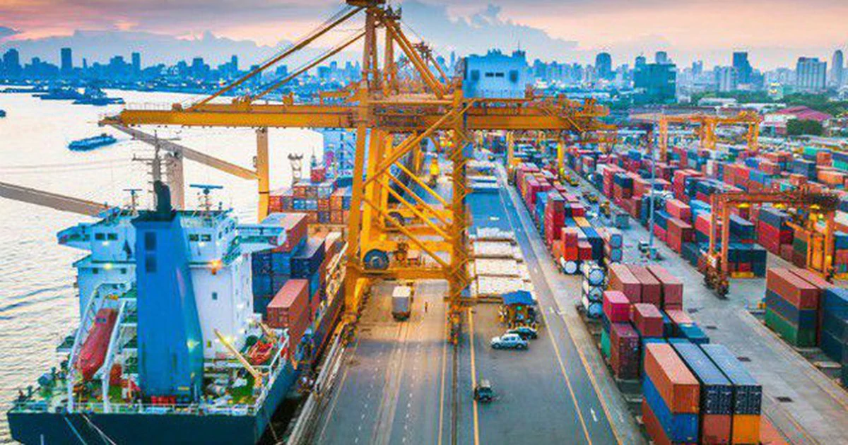 Xuất khẩu tôm hùm, cá tra bứt phá trước nhu cầu Trung Quốc và Nhật Bản