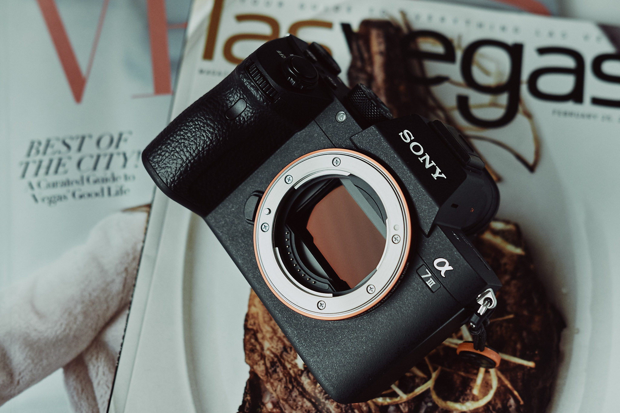 Sony a7 III, a7 V và a7R V: chọn body full-frame nào đáng tiền nhất?