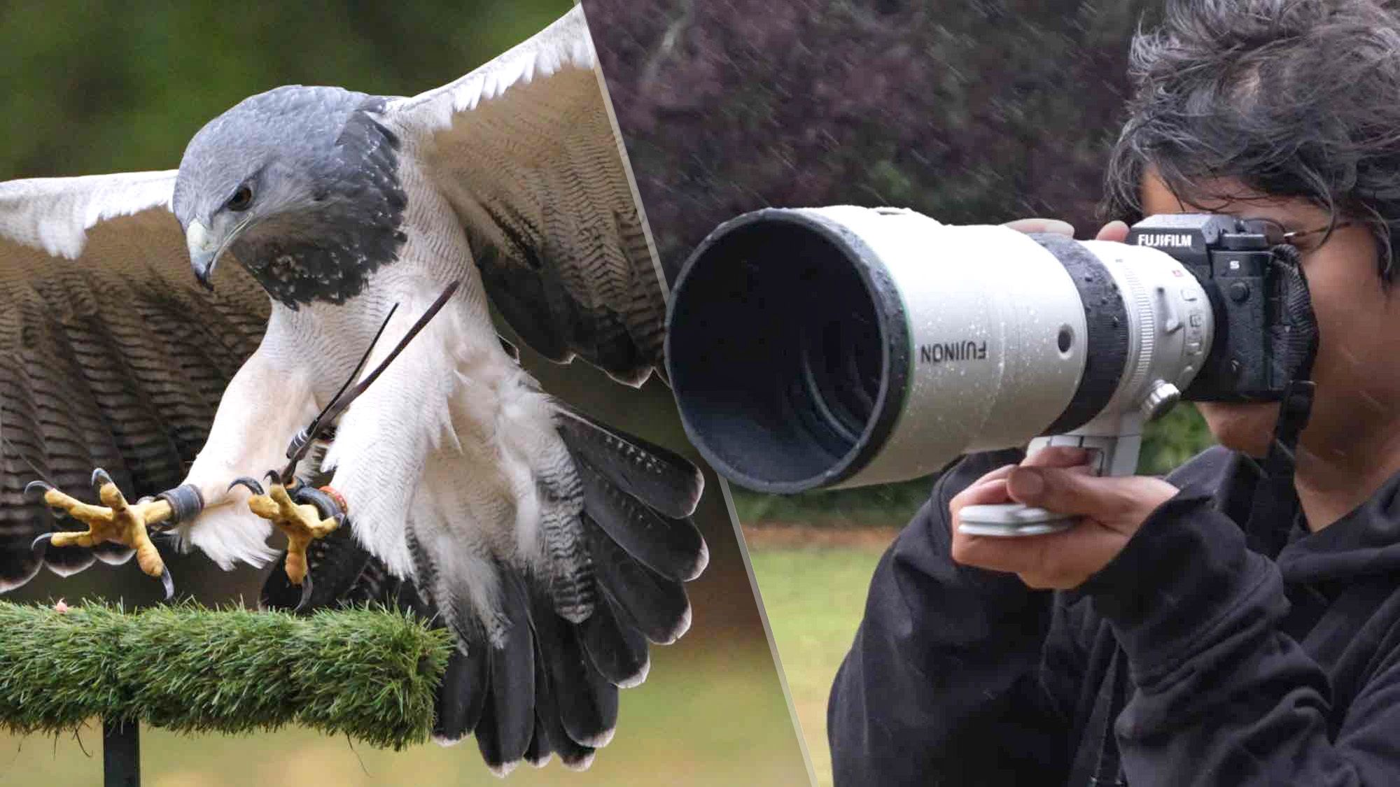 Fujinon XF 400mm f/4.5: Tele siêu nhẹ cho nhiếp ảnh động vật hoang dã và thể thao