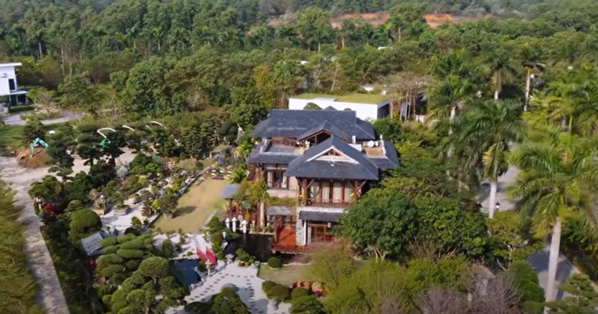 Biệt thự vườn cây: Đẳng cấp nằm ở cách chơi cây và giữ đất