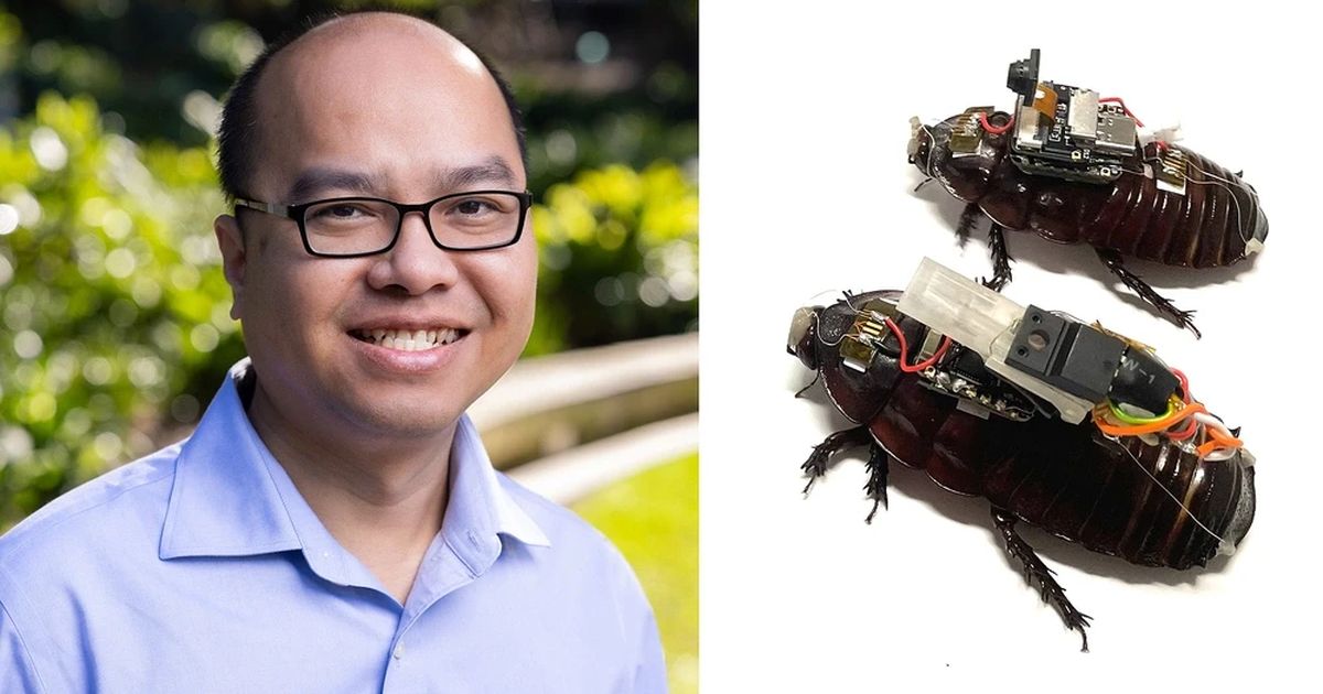 Gián cyborg cứu hộ: khi sinh vật cơ khí hóa thành cánh tay mới của đội cứu nạn
