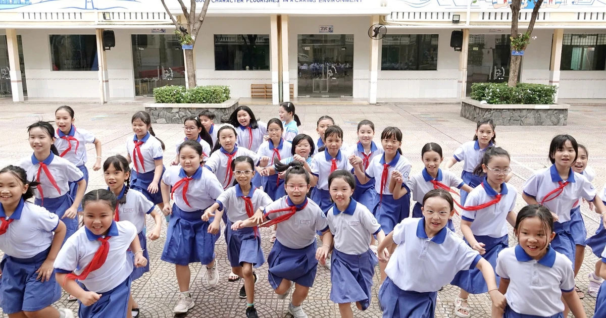 Sắp xếp trường học và thay đổi quản trị: cơ hội hay sức ép?