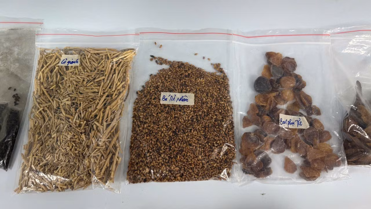 Khoa học công nghệ: chìa khóa mở khóa giá trị dược liệu Việt Nam