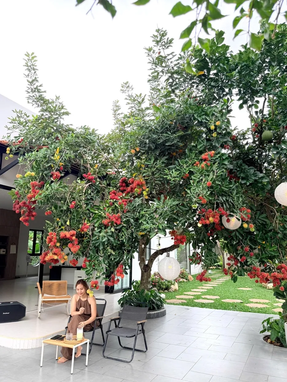 Từ nhà phố đến ốc đảo xanh: hai câu chuyện đổi đời nhờ cây cối