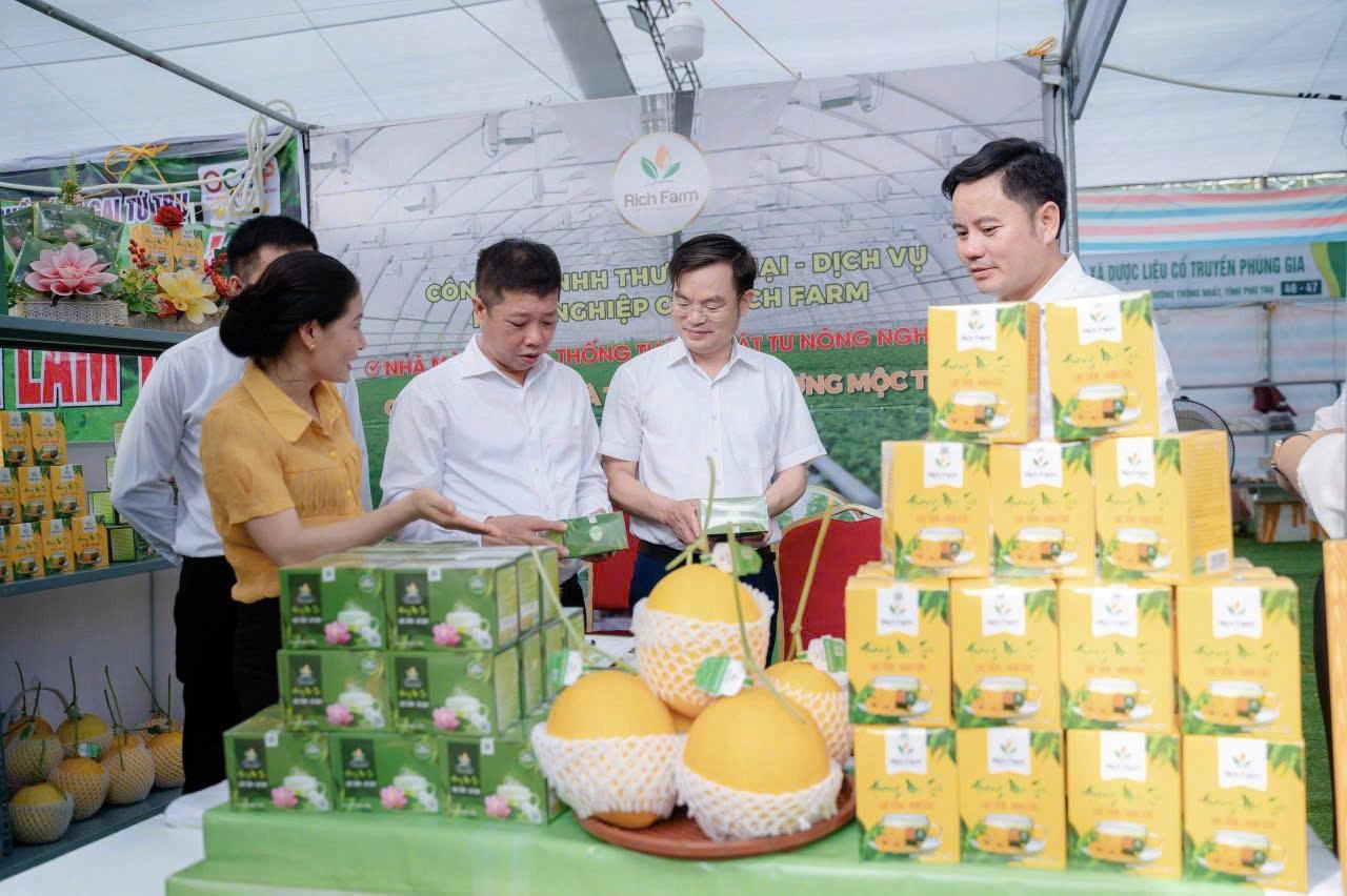 Cách chọn thảo mộc bản địa OCOP chất lượng cao