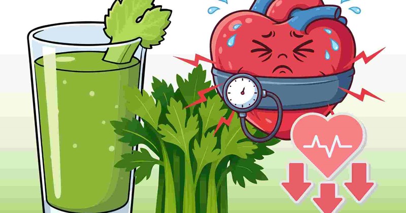 Cần tây giàu kali và chất chống oxy hóa: Ăn sao cho tốt tim mạch
