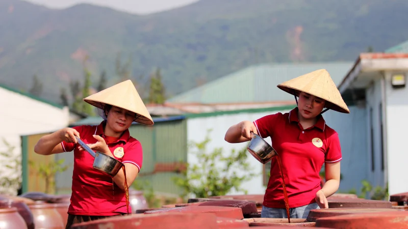 Từ làng nghề ven biển đến bàn ăn toàn cầu: Hành trình nước mắm truyền thống Việt