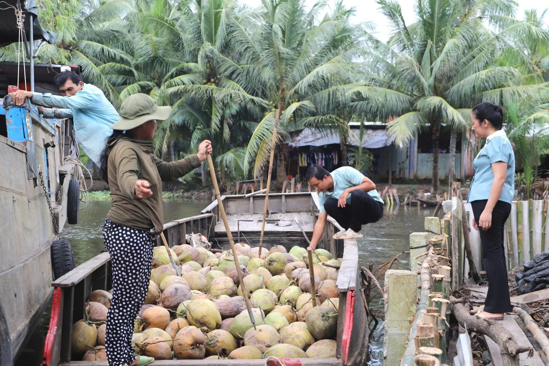 Nước mắm OCOP 5 sao: Từ chum mắm làng biển đến gia vị cao cấp trên bàn ăn