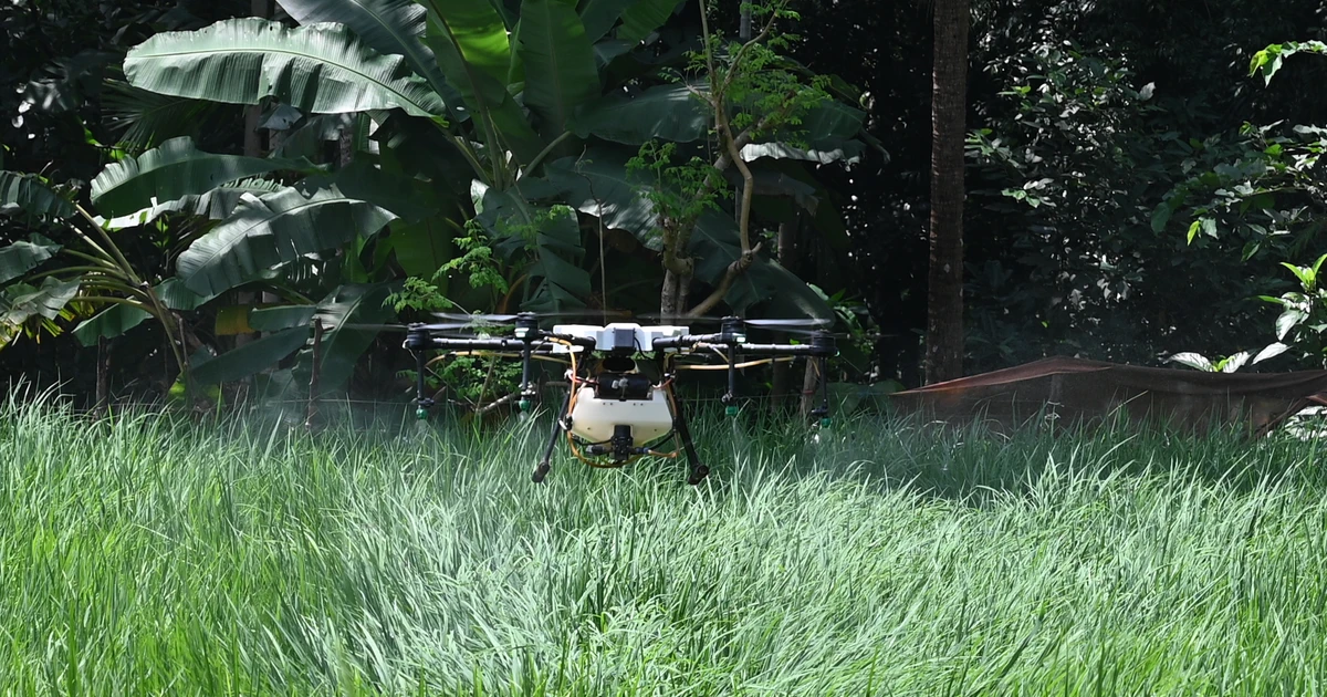 Drone phun thuốc thông minh: cơ hội vàng hay cái bẫy hóa chất?