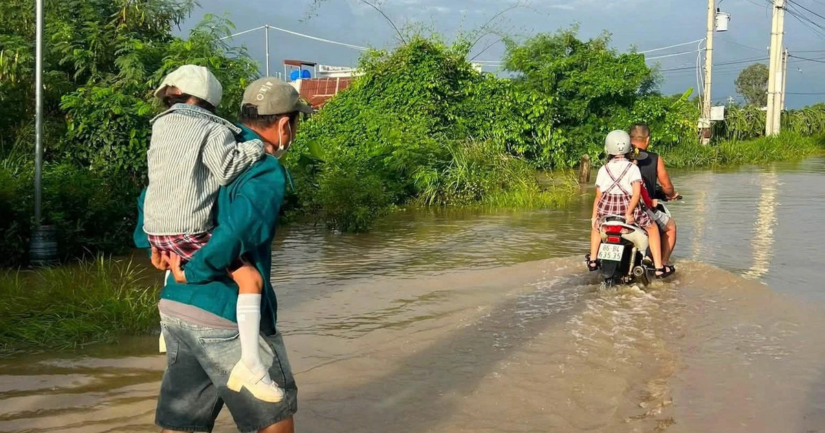 Khi lũ lụt chia cắt đường đến trường