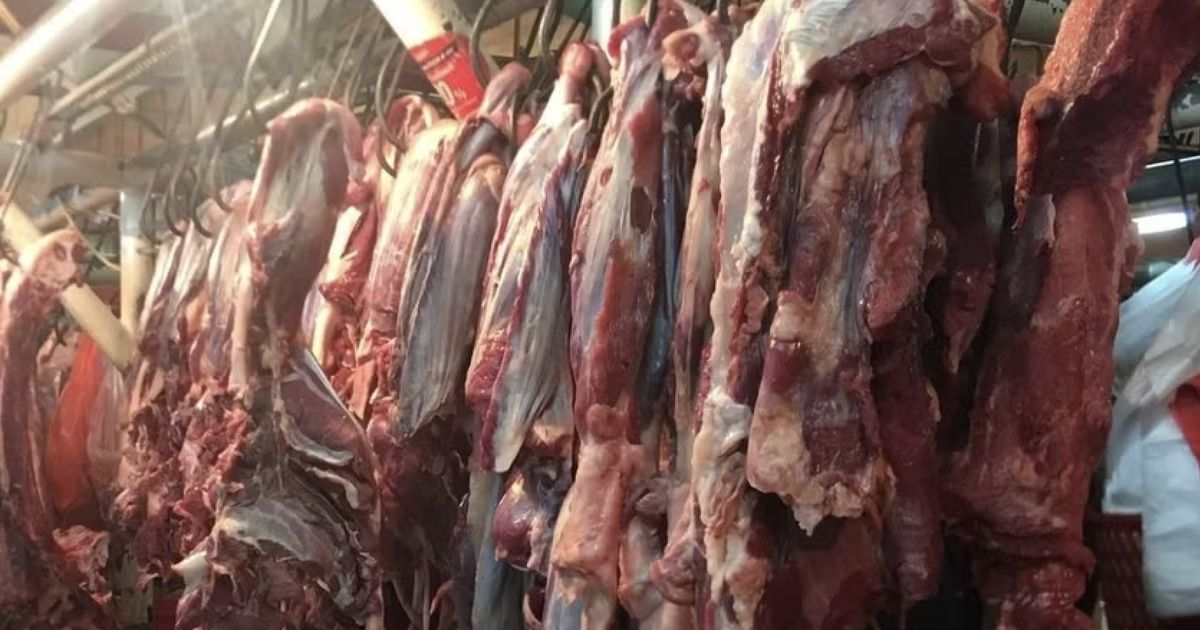 Tiêu chuẩn an toàn EU siết chặt: Bài thi khó cho thịt Brazil