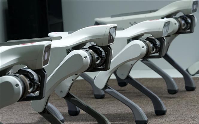 Làn sóng du khách công nghệ đổ về Trung Quốc để học robot và AI