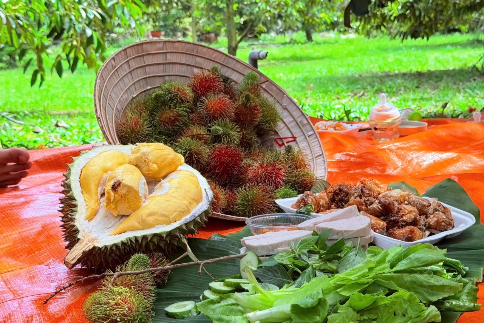 Hái trái cây Phú Quốc: chuyến đi rẻ tiền mà đáng tiền