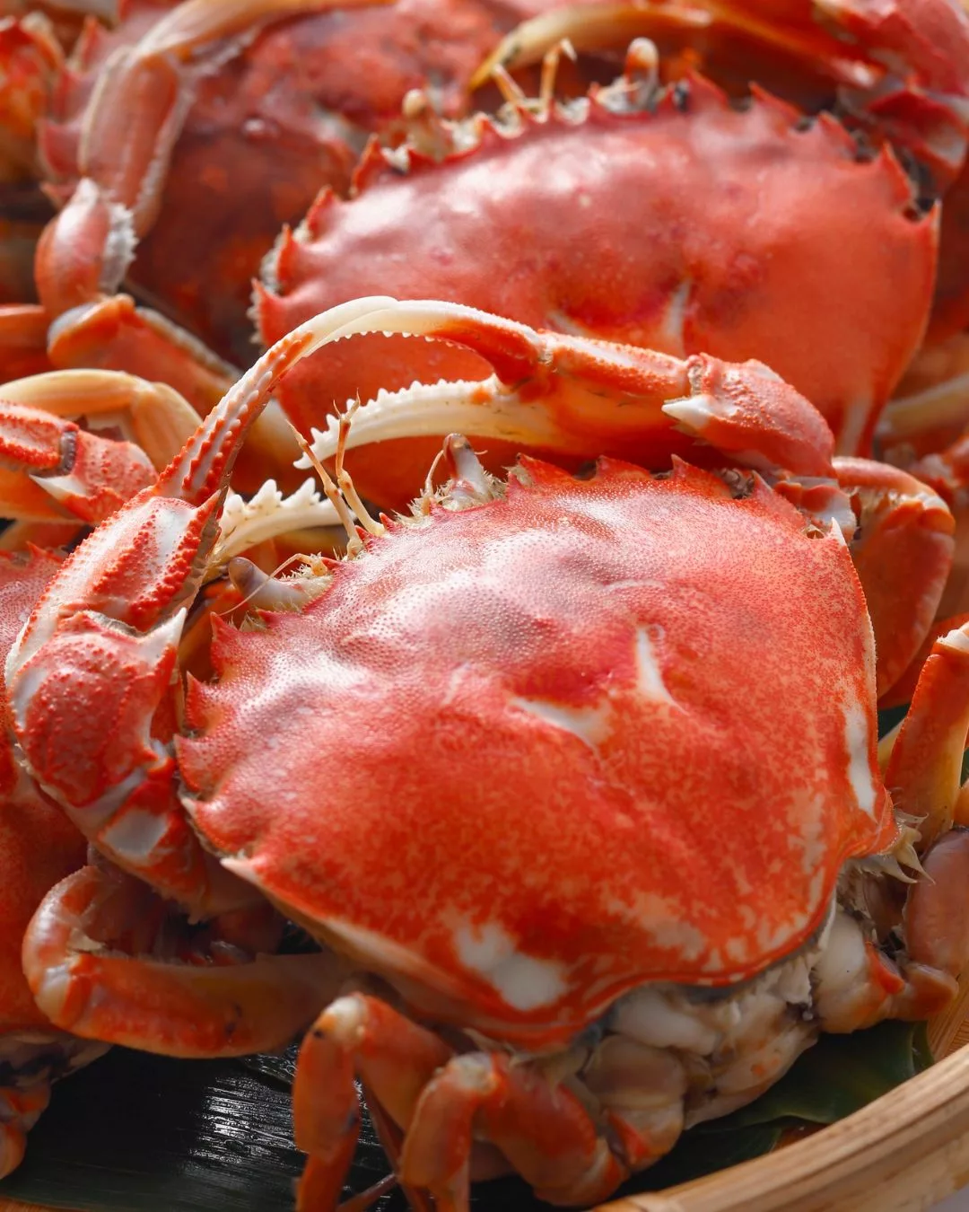 Rahsia Tekstur Sotong Pejal & Sup Ketam Berkhasiat