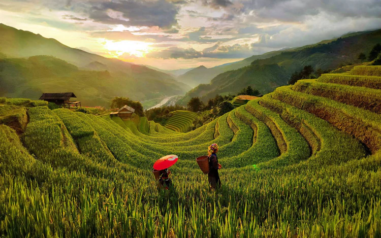 Phụ phí homestay ở Mù Cang Chải: bài học cho du lịch tiết kiệm