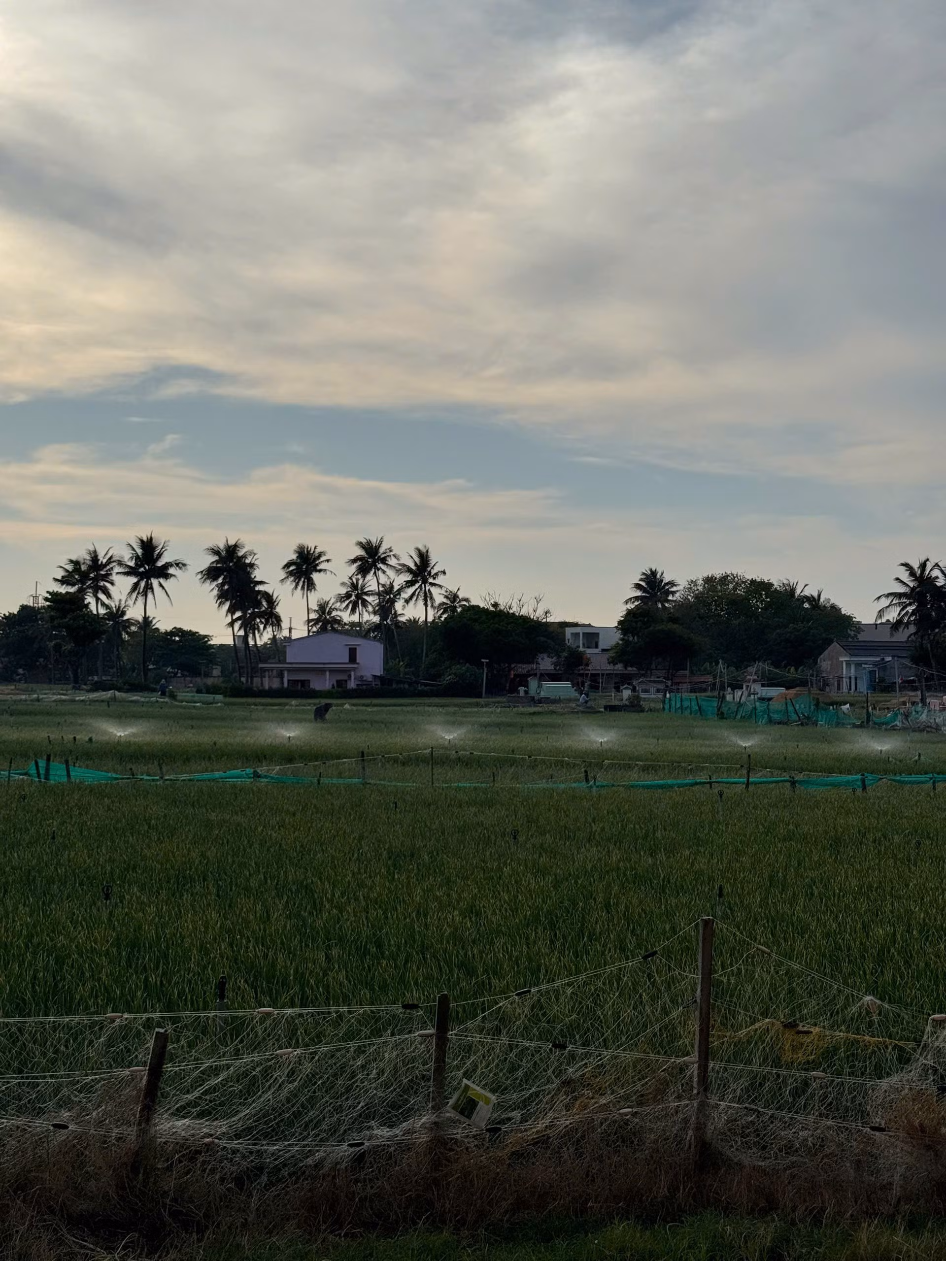 Làng chài truyền thống và hướng đi du lịch bền vững từ cộng đồng