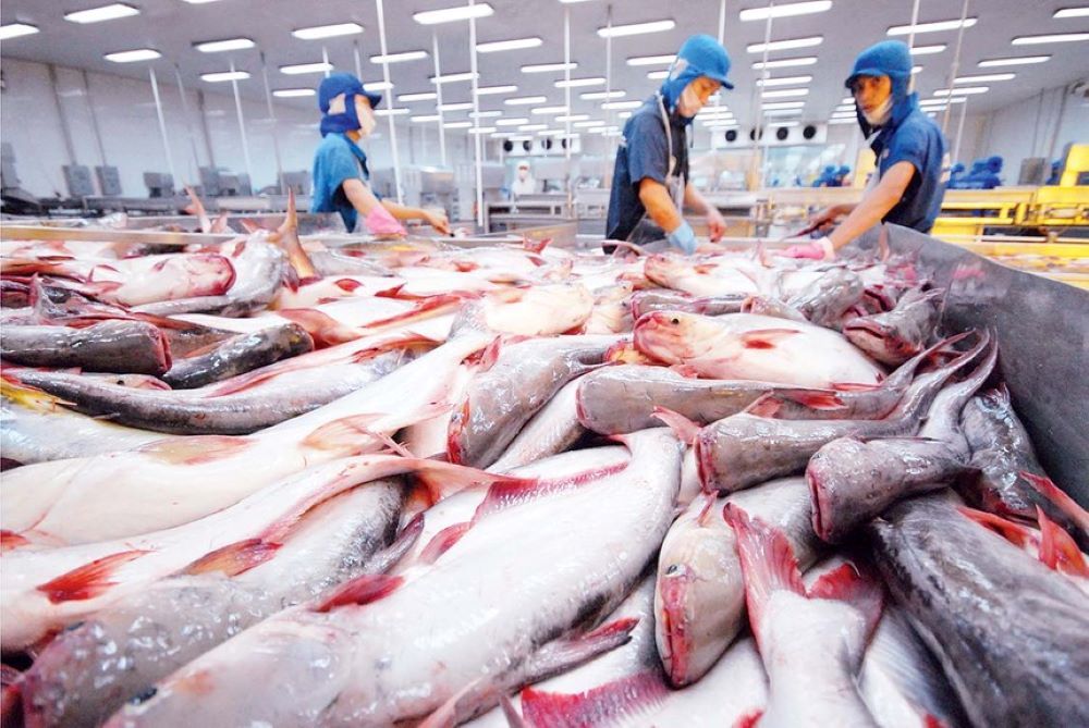 Xuất khẩu thủy sản tăng tốc hướng tới mục tiêu 12,5 tỷ USD