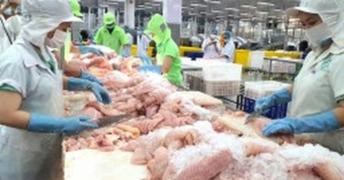 Thuế chống bán phá giá Mỹ đẩy xuất khẩu thủy sản Việt Nam nghiêng về châu Á