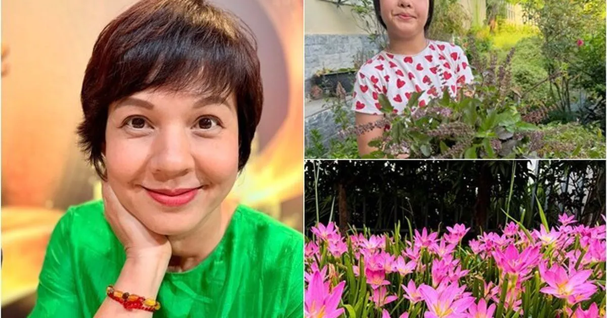 Không gian xanh chữa lành: biến ngôi nhà thành nơi phục hồi tâm lý