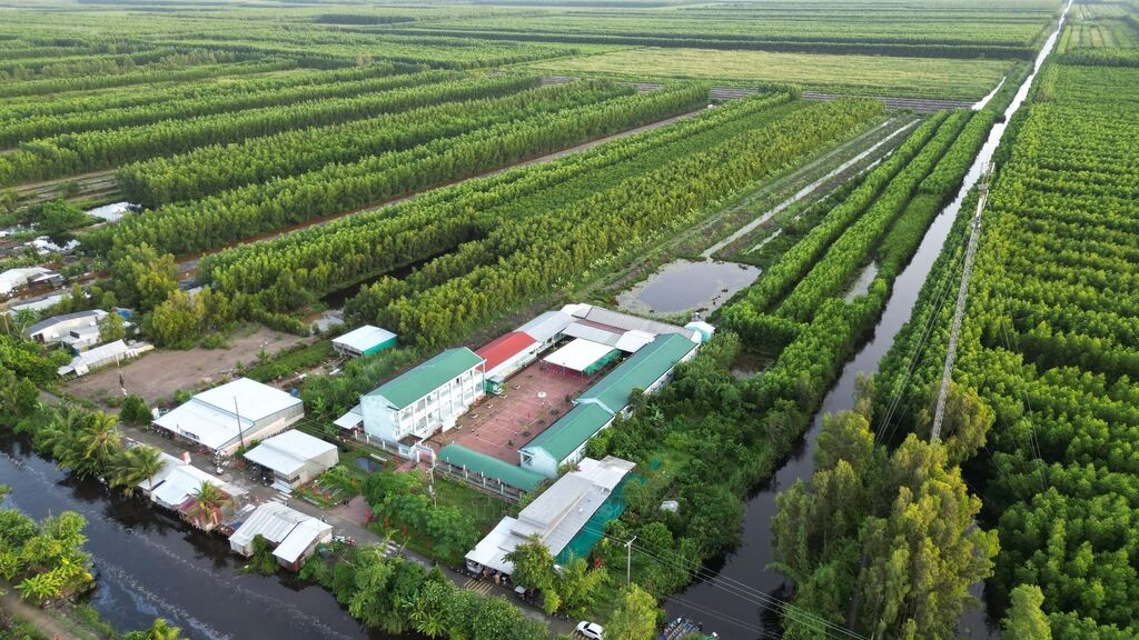 Xuồng máy, kênh rạch và hành trình đến lớp của học sinh vùng U Minh Hạ