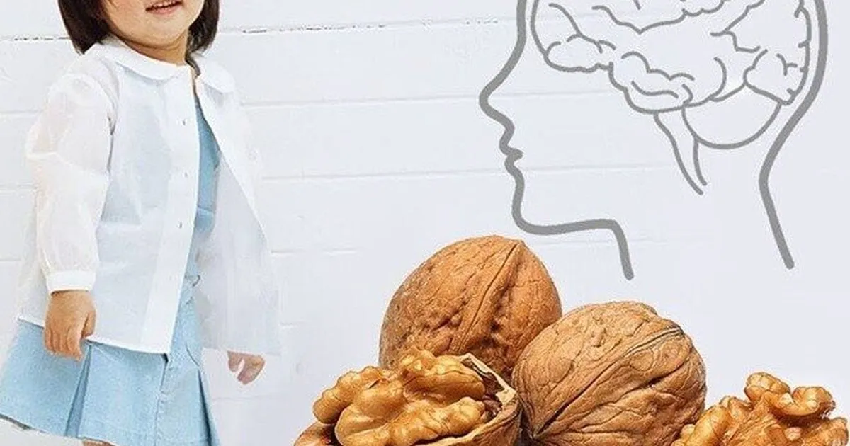 Hạt óc chó – thực phẩm vàng cho trí não trẻ