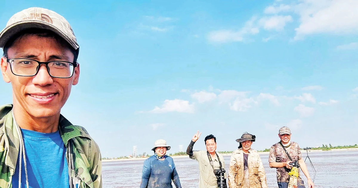 Những nhiếp ảnh gia bảo vệ chim hoang dã: Từ rừng sâu đến phố thị
