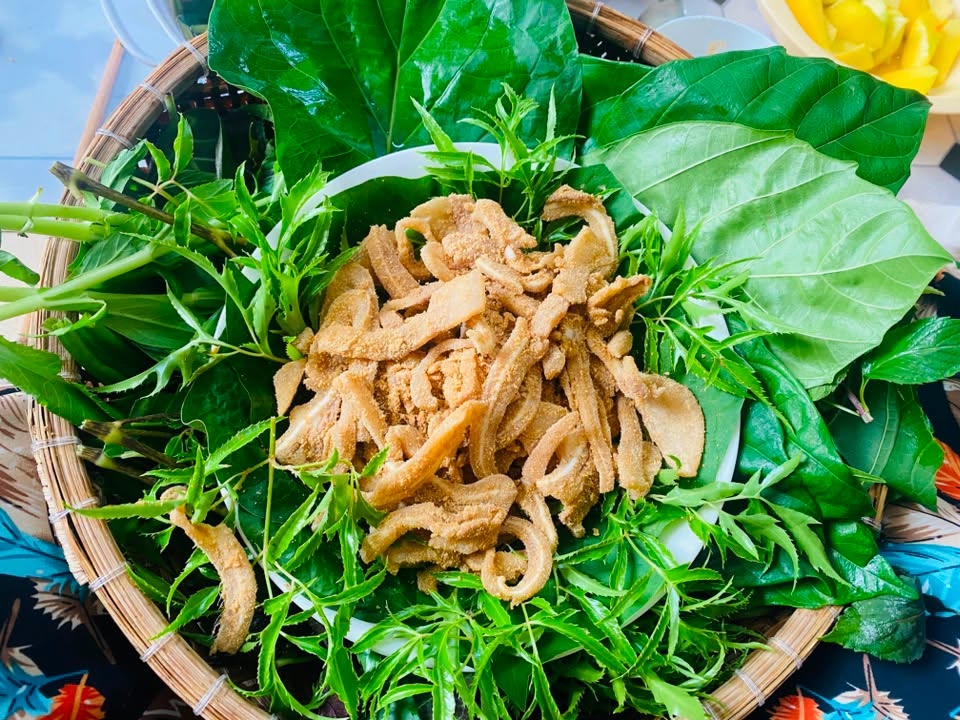 Cách chọn củ đinh lăng chất lượng cao: Đừng chỉ tin tuổi cây