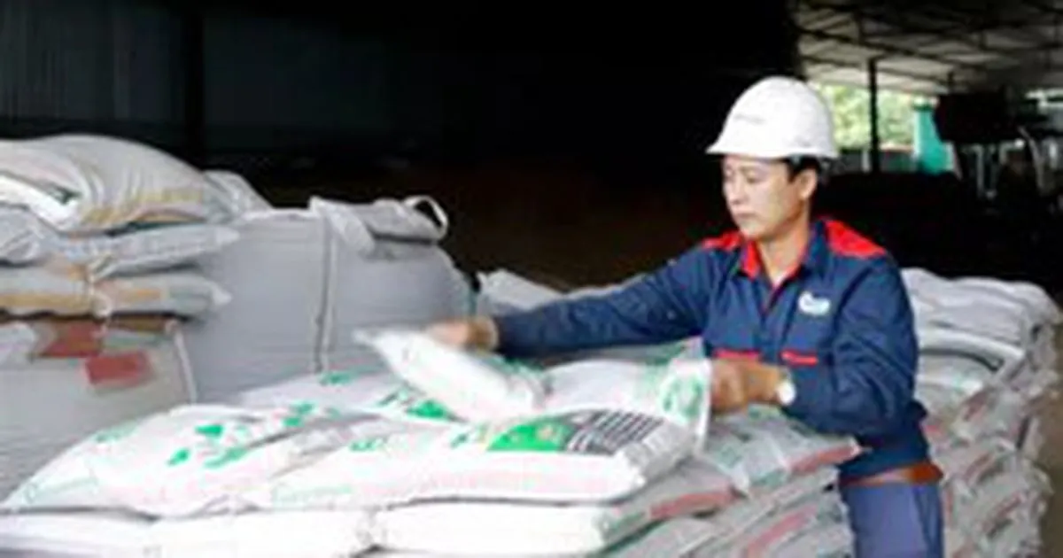 Xuất khẩu phân bón Việt Nam vượt mốc 1 tỷ USD: cú hích từ Hàn Quốc và Philippines