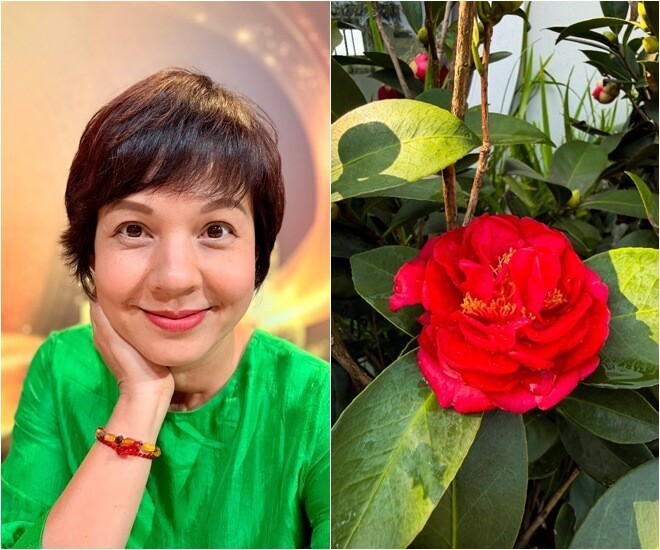Không gian xanh chữa lành tâm hồn trong căn nhà yên bình