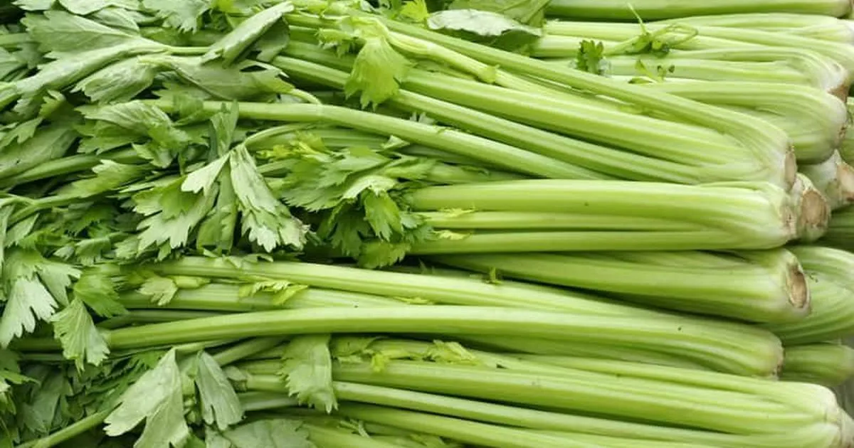 Những loại rau quen thuộc được bác sĩ tim mạch khuyên ăn mỗi ngày