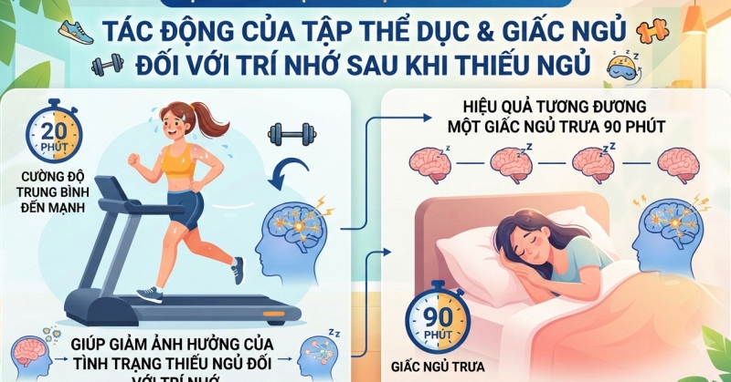 20 phút tập thể dục có thể bù đắp như ngủ trưa 90 phút?