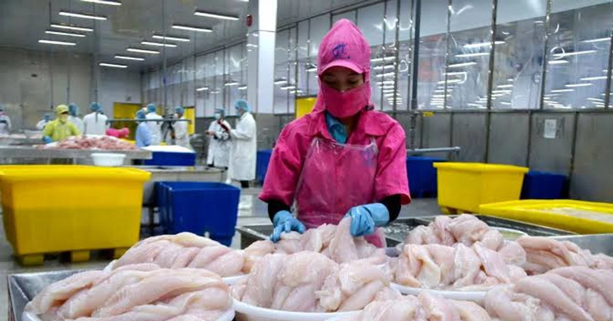 Doanh nghiệp xuất khẩu Việt Nam trước bước ngoặt thuế quan Mỹ