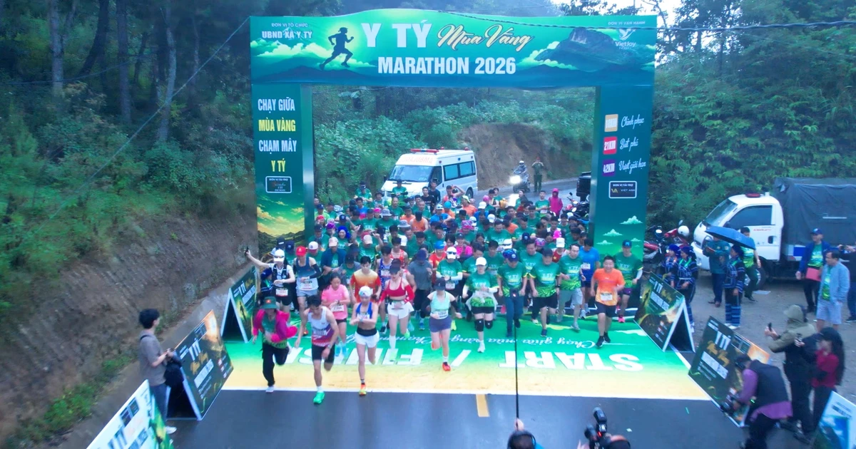 Y Tý Golden Season Marathon: mùa vàng gọi bước chân runner