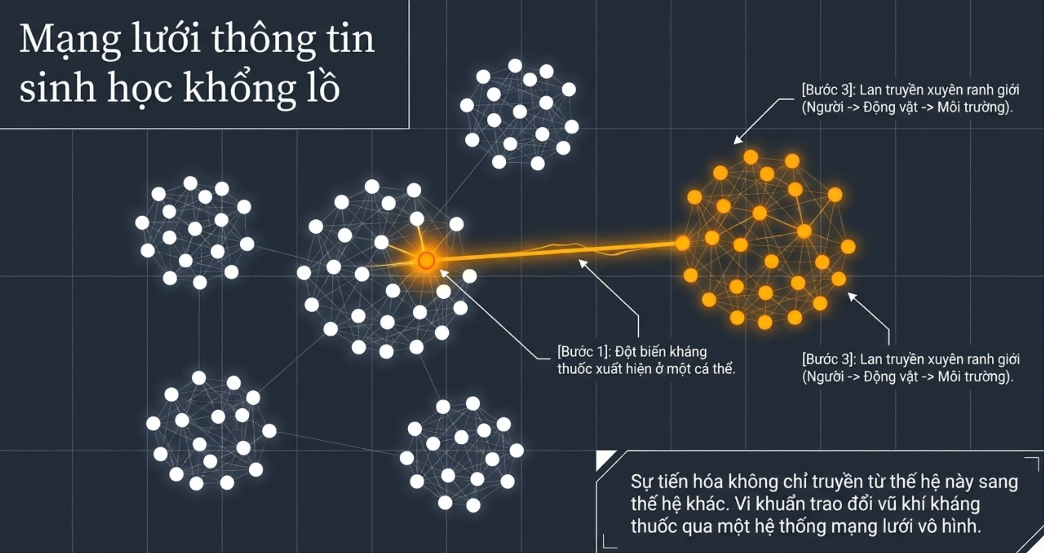 Xây dựng “miễn dịch tập thể” trước tin sai lệch sức khỏe