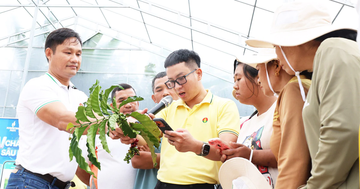 Nông dân học kỹ năng số để bán nông sản trực tuyến