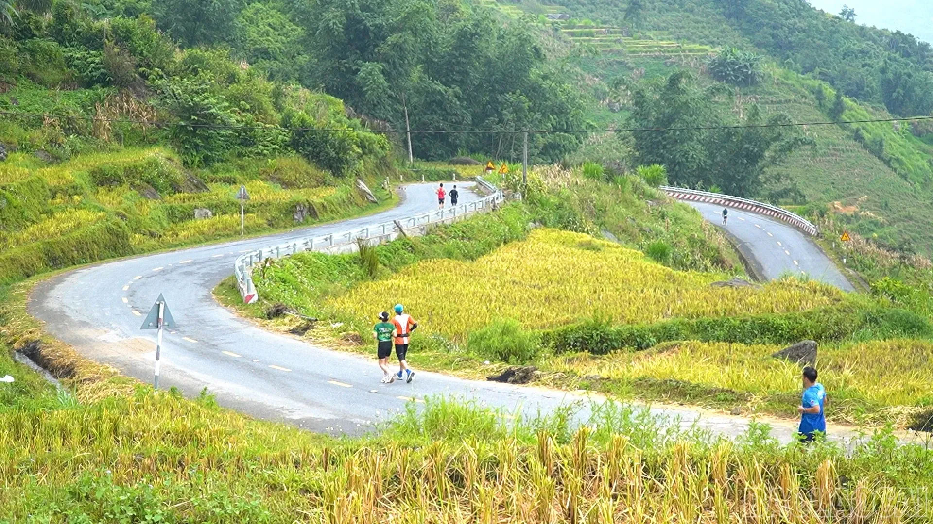 Y Tý Golden Season Marathon: mùa vàng gọi bước chân runner