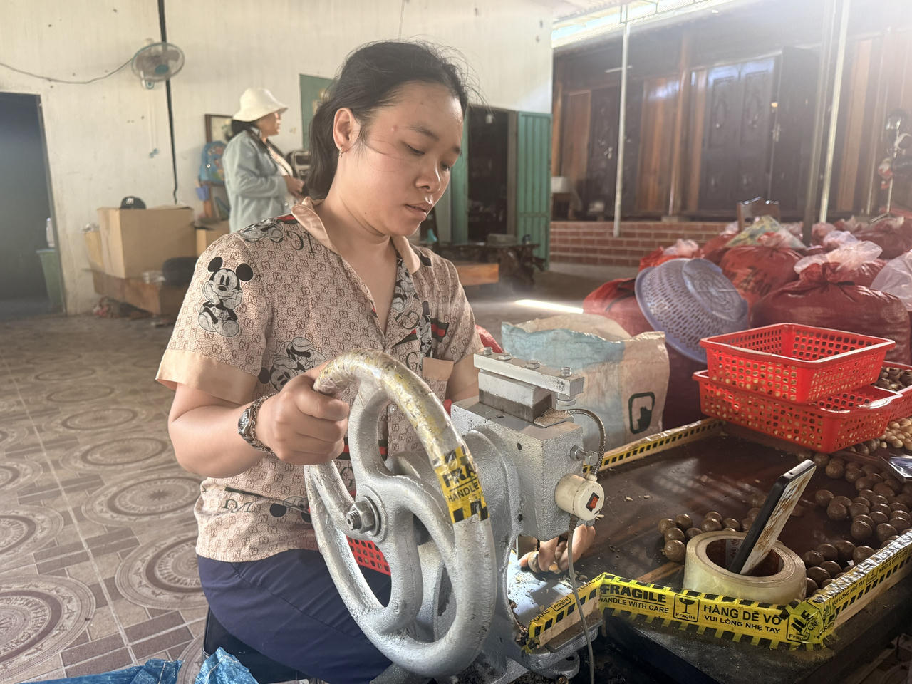 Nông nghiệp thông minh với AI và IoT: Từ thí điểm đến triển khai diện rộng