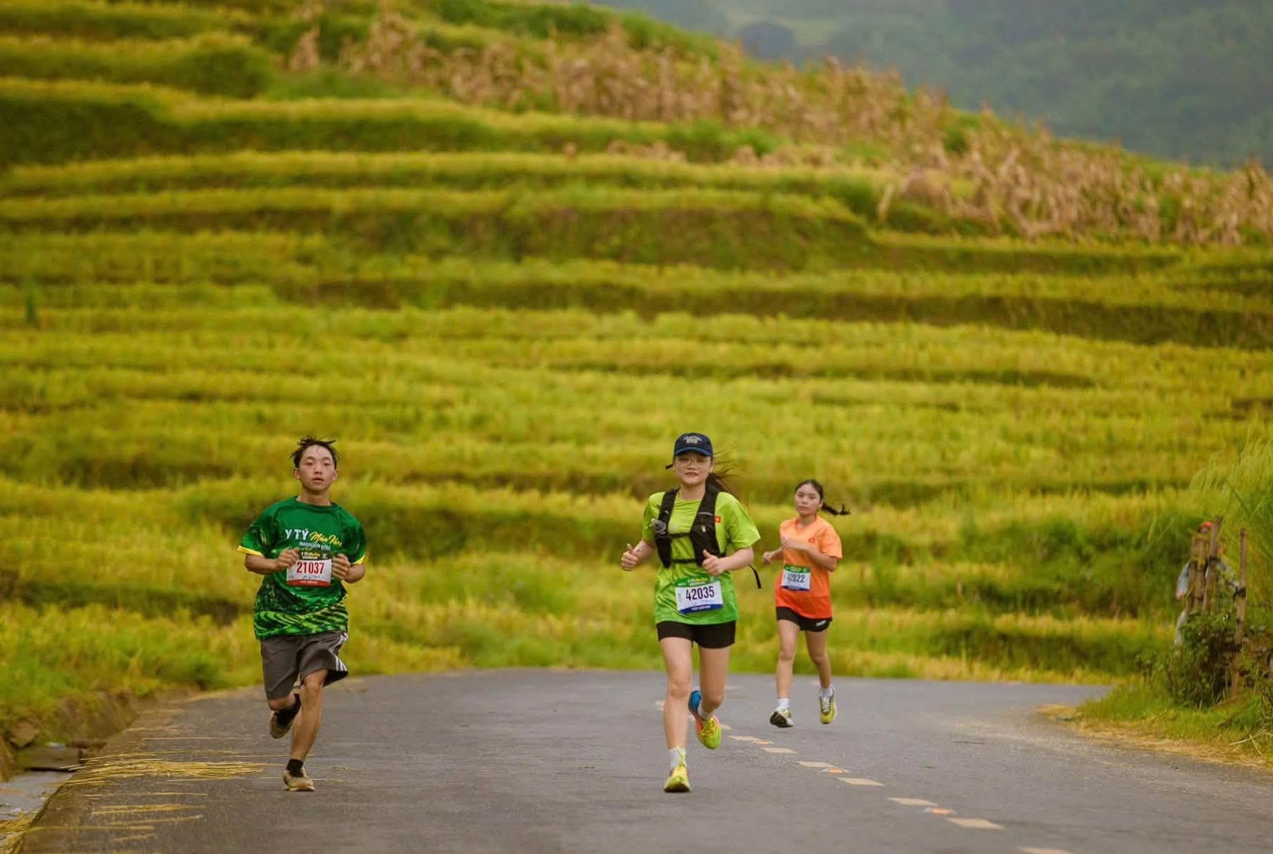 Y Tý Mùa Vàng Marathon: Khi mùa lúa chín hóa cung đường chạy