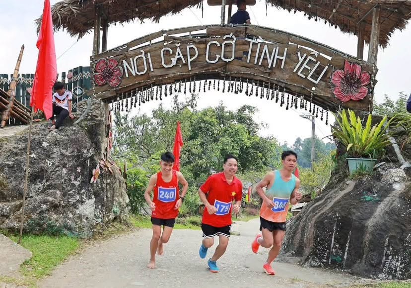 Mùa vàng trail miền Bắc: Khi ruộng bậc thang trở thành đường chạy