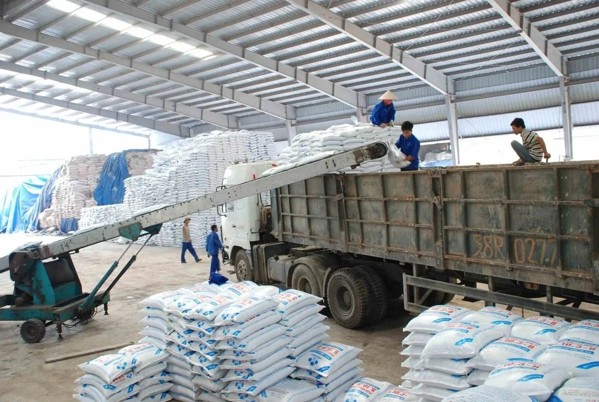 Xuất khẩu phân bón Việt Nam vượt mốc 1 tỷ USD: Cơ hội có đủ lớn để thành cú nhảy dài?