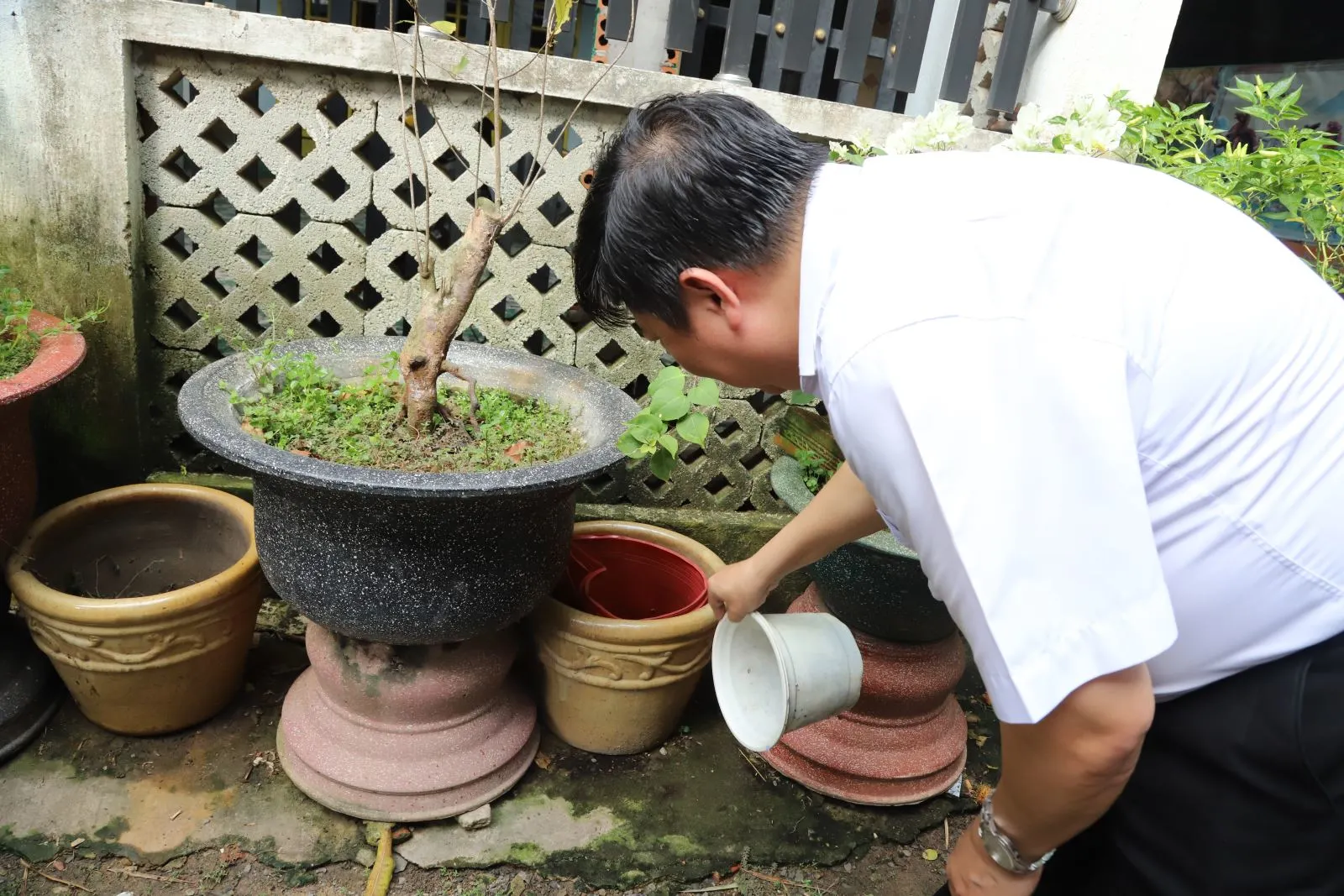 Phòng chống sốt xuất huyết mùa mưa với chiến lược lá chắn kép
