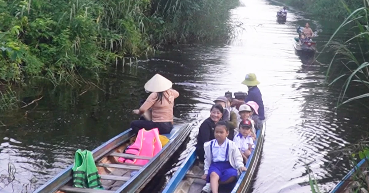 Xuồng máy, kênh rạch và hành trình đến lớp của học sinh vùng U Minh Hạ