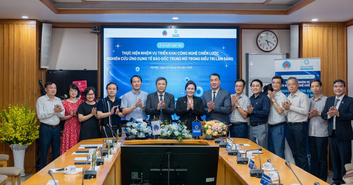 Chuẩn hóa HuC-MSC: chìa khóa mở đường điều trị xơ gan