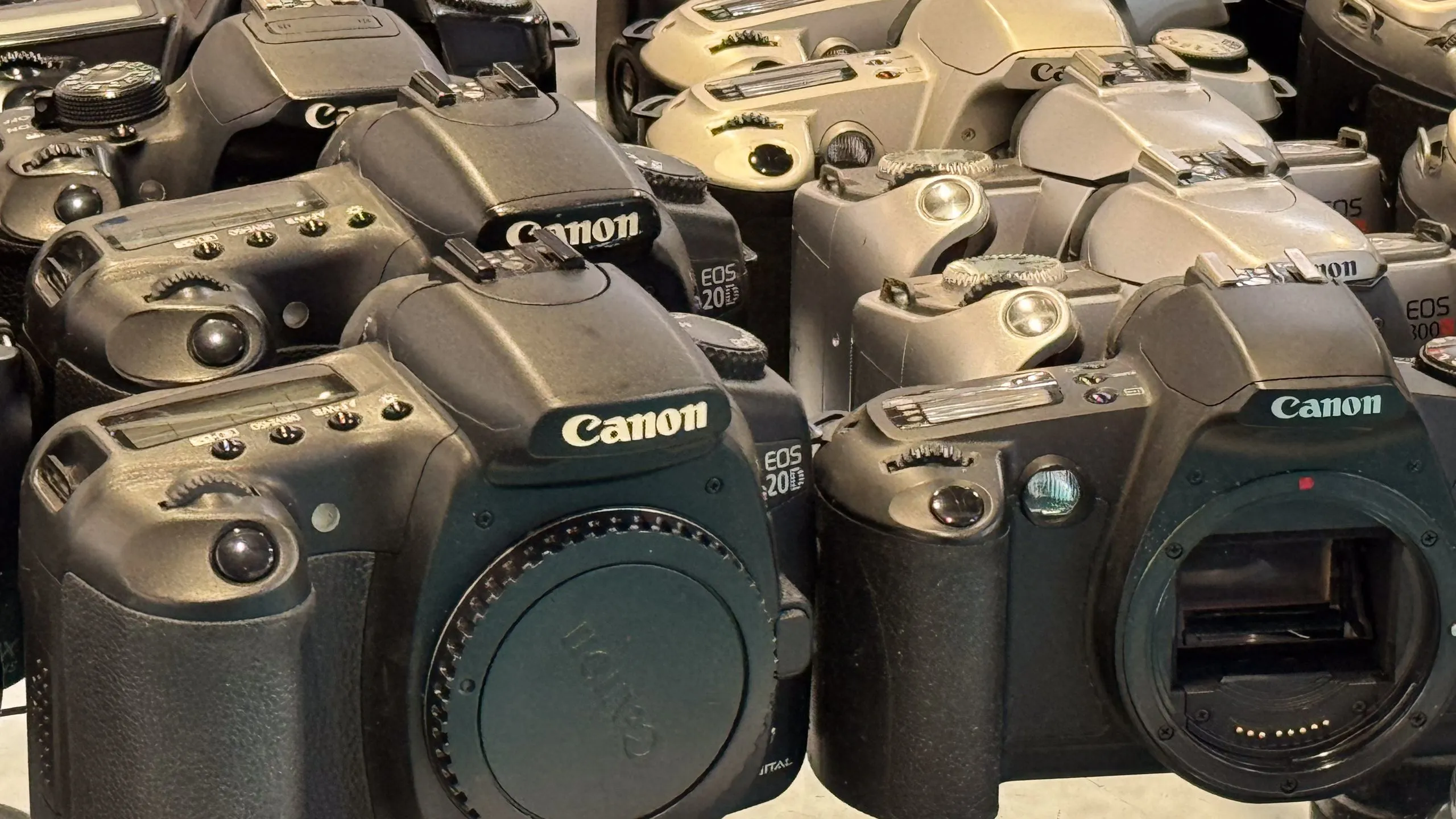 Canon vẫn sản xuất 580.000 DSLR mỗi năm: định dạng này có thực sự đang chết?